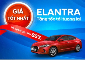 DIỄU HÀNH XE TẠI THÀNH PHỐ NINH BÌNH